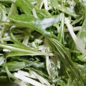 レタス水菜ほうれん草大根のシーザーサラダ